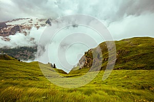 Summer time in Dolomites. landscape with grass and fog