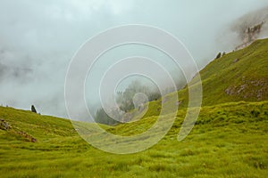 Summer time in Dolomites. landscape with grass and fog