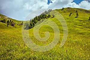 Summer time in Dolomites. landscape with hills, meadow and trees