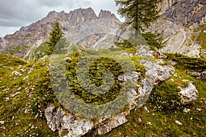 Summer time in Dolomites. landscape with mountains, clouds, trees and rock