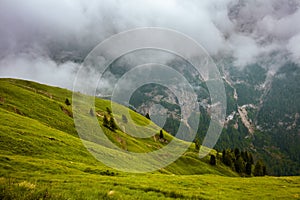 Summer time in Dolomites. landscape with mountains, hills, trees and fog