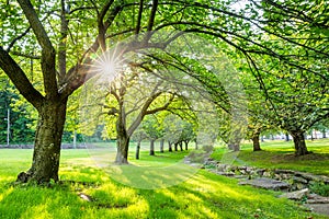 Summer time in Hurd Park, Dover, NJ