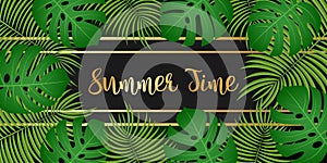 Summer time text with tropical leaves on black background