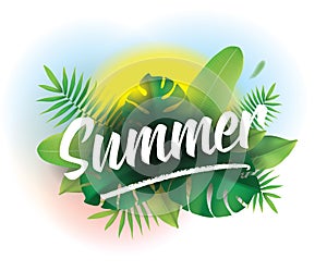 Summer time. Vector background for posters and banners.