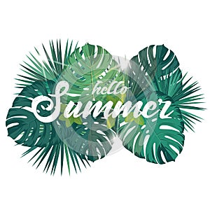 Summer time vector poste with tropic leaves. photo