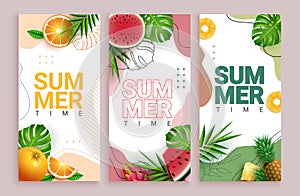 Summer time vector poster set design. Summer time text with orange, watermelon, dragon fruit