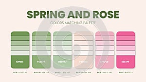 Spring and Rose color palette or color schemes are trends combinations and palette guides. Example of table color shades in RGB