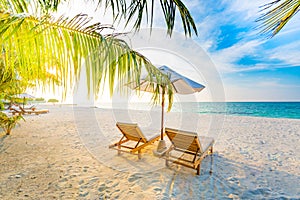 Summer travel destination background. Summer beach scene, sun beds sun umbrella and palm trees