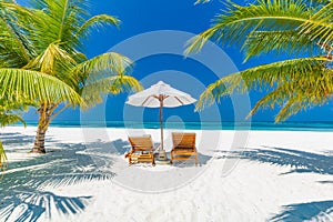 Summer travel destination background. Summer beach scene, sun beds sun umbrella and palm trees