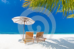 Summer travel destination background. Summer beach scene, sun beds sun umbrella and palm trees