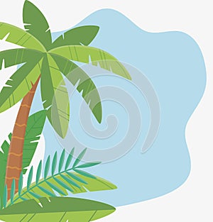 Summer travel and vacation palm tree foliage leaves tropical background