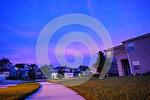 Summer tree, pond and pink cloud