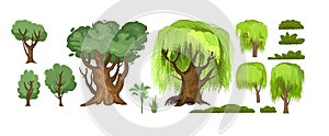 Summer trees and bushes set. Oak and willow. Adult and young green plants. Objects are isolated on a white background