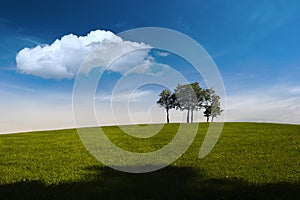 Summer, trees, hill and blue sky