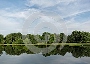 Summer Trees Reflection