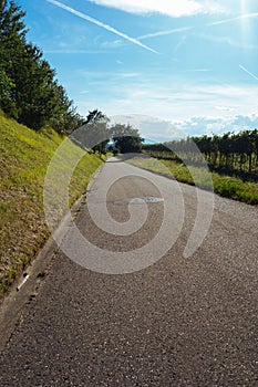 Summer trip by bike in the Kaiserstuhl in the Black Forest