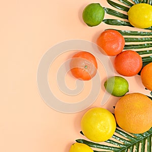 Summer tropic arrangement with palm leaves and fresh organic citurs fruits on beibe gackground. FLat lay creative exotic copy