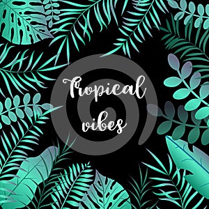 Summer tropic background with palm leaves
