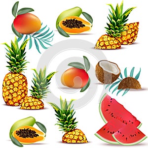 Summer tropic fruits papaya, pineapple, fresh coconut, watermelon, mango Collection set Vector