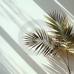 Summer tropical background with backdrop with palm leaves shadow.Generated by AI.