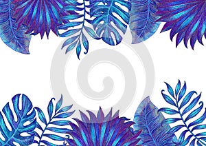 Summer tropical background banner with palm leaves.