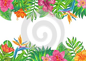 Summer tropical background banner with palm leaves and hibiscus flowers.