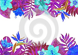 Summer tropical background banner with palm leaves and hibiscus flowers.