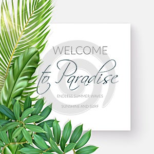 Summer tropical background with exotic palm leaves