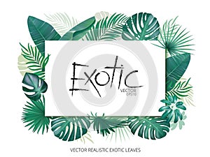 Summer tropical background with exotic palm leaves and plants. Banner template, Vector floral background.