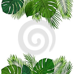 Summer tropical background with green palm leaves. Exotic botanical design with jungle plants for invitation, banner, poster.