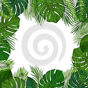 Summer tropical background with green palm leaves. Exotic botanical design with jungle plants for invitation, banner, poster