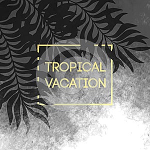 Summer tropical background of palm leaves and golden text and frame. Vector illustration