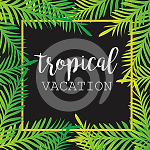 Summer tropical background of palm leaves. tropics, tropical, palm trees, tropical palm leaves.