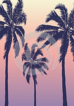 Summer tropical background with 3 palm trees sky and sunset