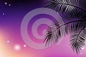 Summer tropical backgrounds with palms and sunset sky