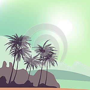 Summer tropical backgrounds set with palms, sky and sunset