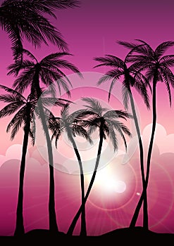 Summer tropical backgrounds set with palms, sky and sunset. Summer placard poster flyer invitation card. Summertime.