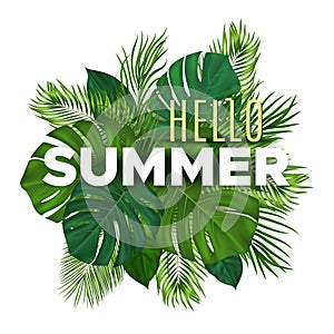 Summer tropical banner with green palm leaves on white background