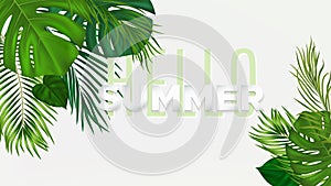 Summer tropical banner with green palm leaves on white background. Vector plant background for leaflet, banner