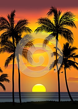 Summer tropical beach background with palms, sky sunrise and sunset. Summer party placard poster flyer invitation card