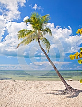 Summer at a tropical beach paradise in Florida