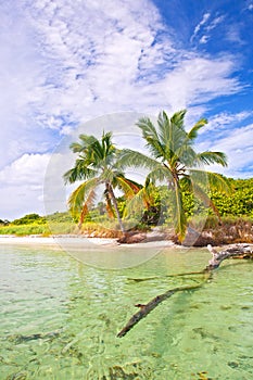 Summer at a tropical beach paradise in Florida