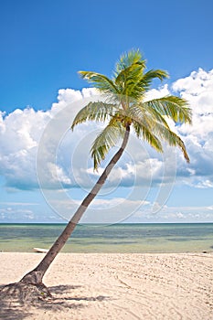 Summer at a tropical beach paradise in Florida