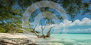 Summer tropical Beach; Peaceful vacation background.