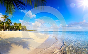 Summer tropical Beach; Peaceful vacation background