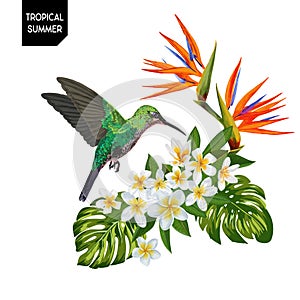 Summer Tropical Design with Hummingbird and Exotic Flowers. Floral Background with Tropic Bird, Plumeria and Palm Leaves