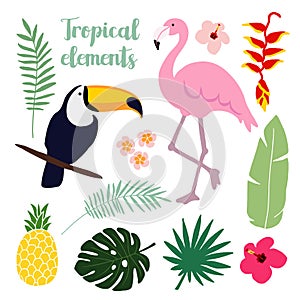 Summer tropical elements. Toucan and flamingo bird. Jungle floral illustrations, palm leaves, s