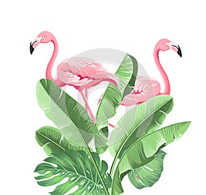 Summer tropical frame exotic banana leaf. Design background for card,invitation,poster.