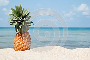 Summer tropical landscape with pineapple on the white sand beach on the background of blue sea and sky.