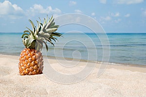 Summer tropical landscape with pineapple on the white sand beach on the background of blue sea and sky.